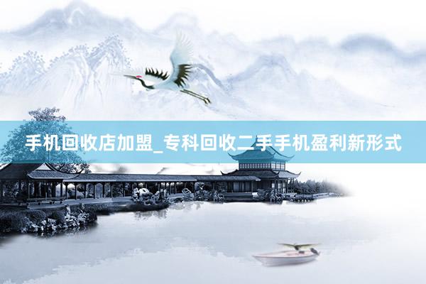 手机回收店加盟_专科回收二手手机盈利新形式