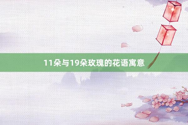 11朵与19朵玫瑰的花语寓意